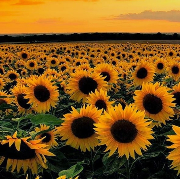 Meet your Posher, Christina - Picture 4 of 4